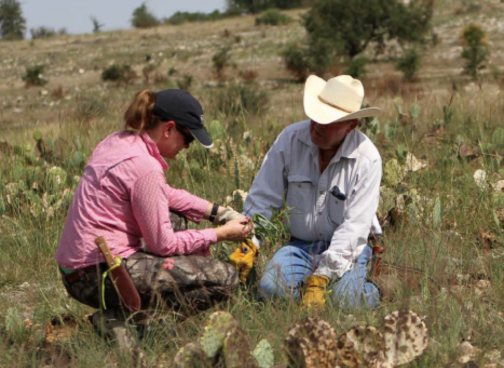 NTCF Awards $290,000 to Animal and Conservation Agencies